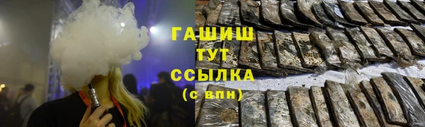 прущие грибы Аркадак
