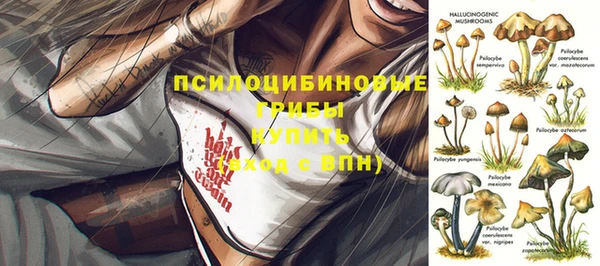 первитин Армянск