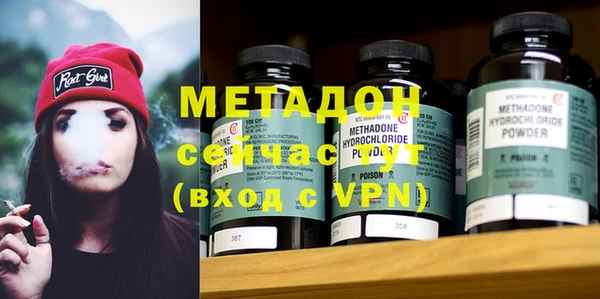 прущие грибы Аркадак