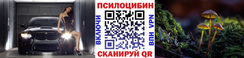 Галлюциногенные грибы Psilocybe  сколько стоит  ссылка на мегу как войти  Первомайск 